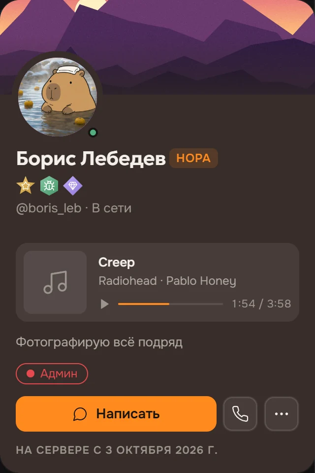 Карточка участника: мир с лисой в баннере, оправа, значки, плеер «Creep — Radiohead», кнопка «Написать»